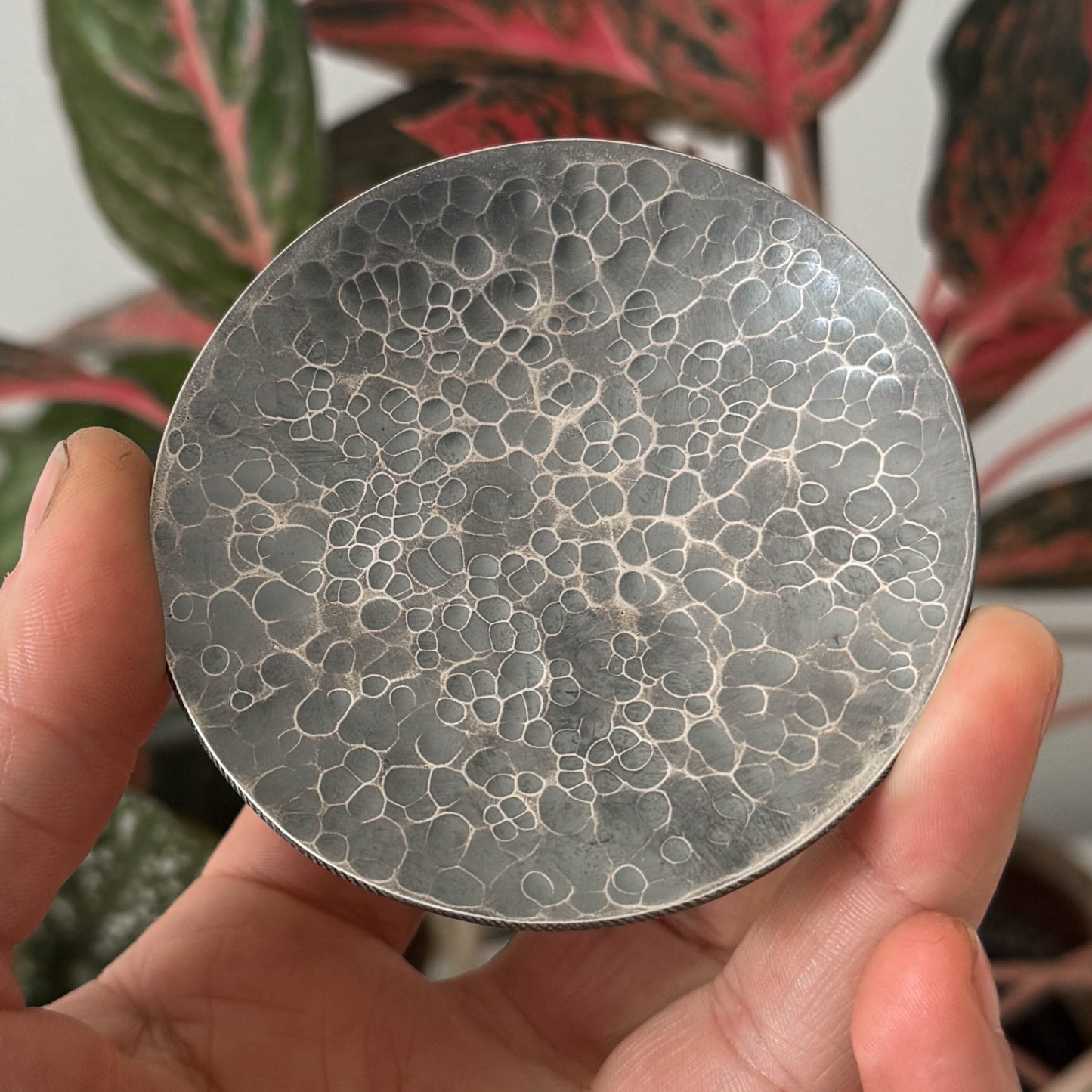 Moon Dish (silver) #2