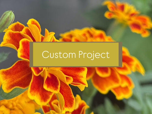 Custom Project