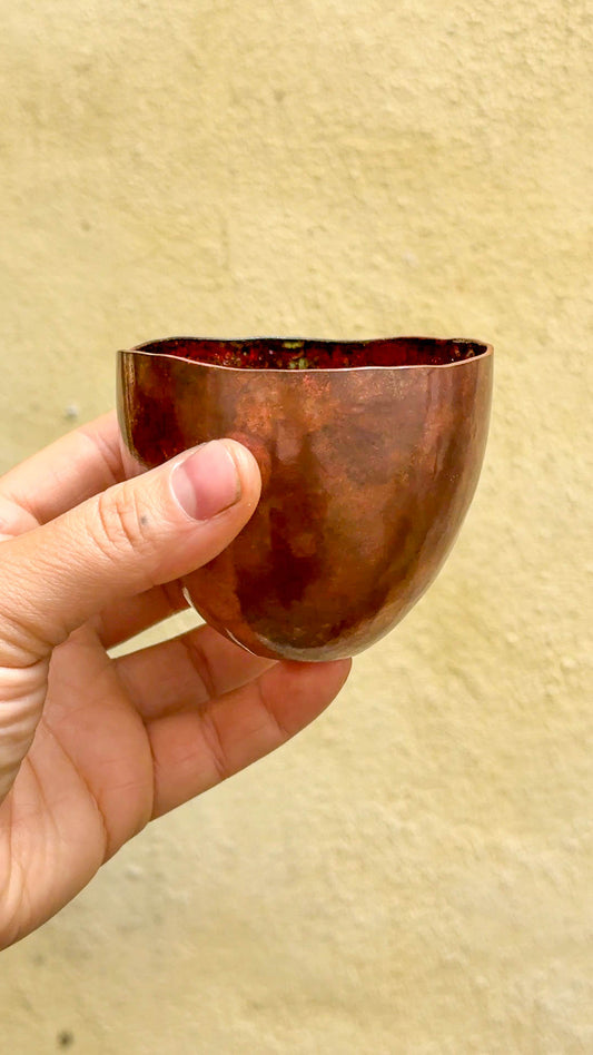 Enamel interior vessel