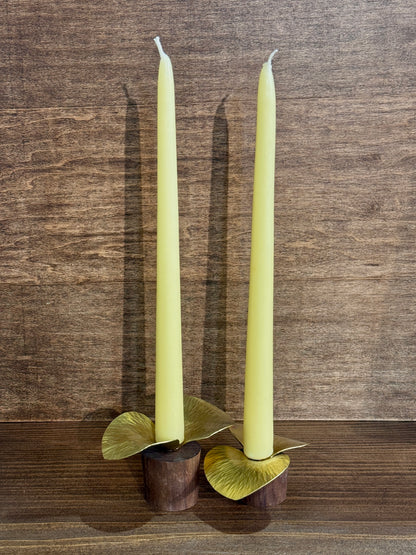 Pair of Brass and Walnut Candle Holders