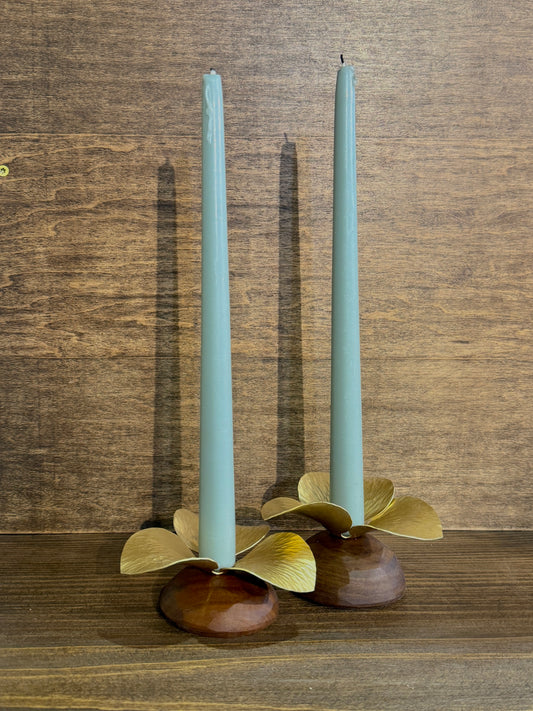 Pair of brass and Ipe Candle Holders