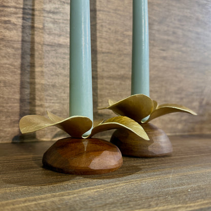 Pair of brass and Ipe Candle Holders