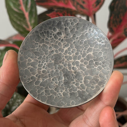 Moon Dish (silver) #2