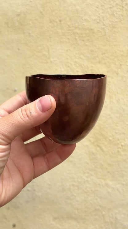 Enamel interior vessel