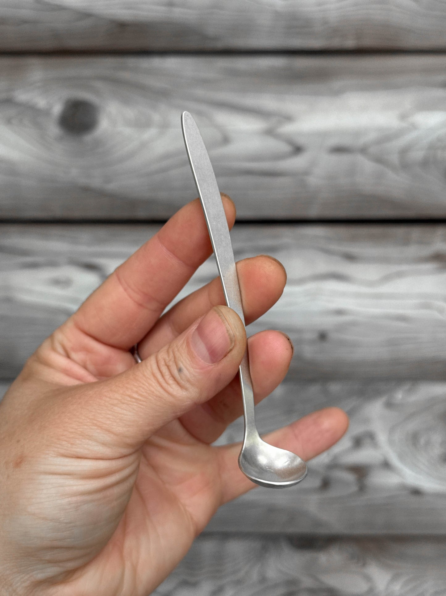Silver Salt Spoon
