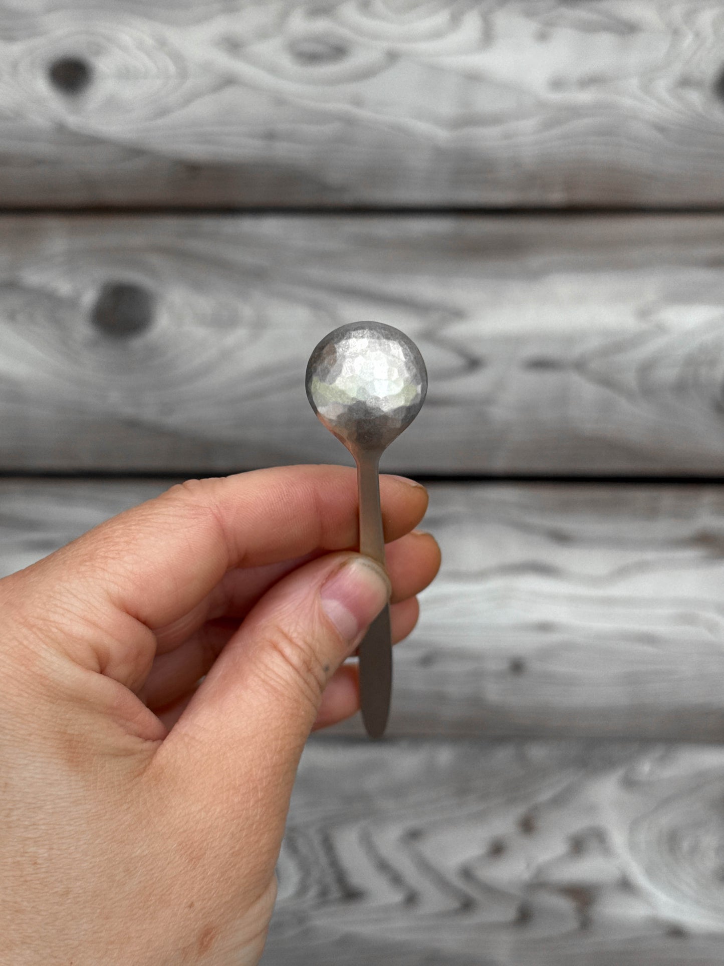 Silver Salt Spoon