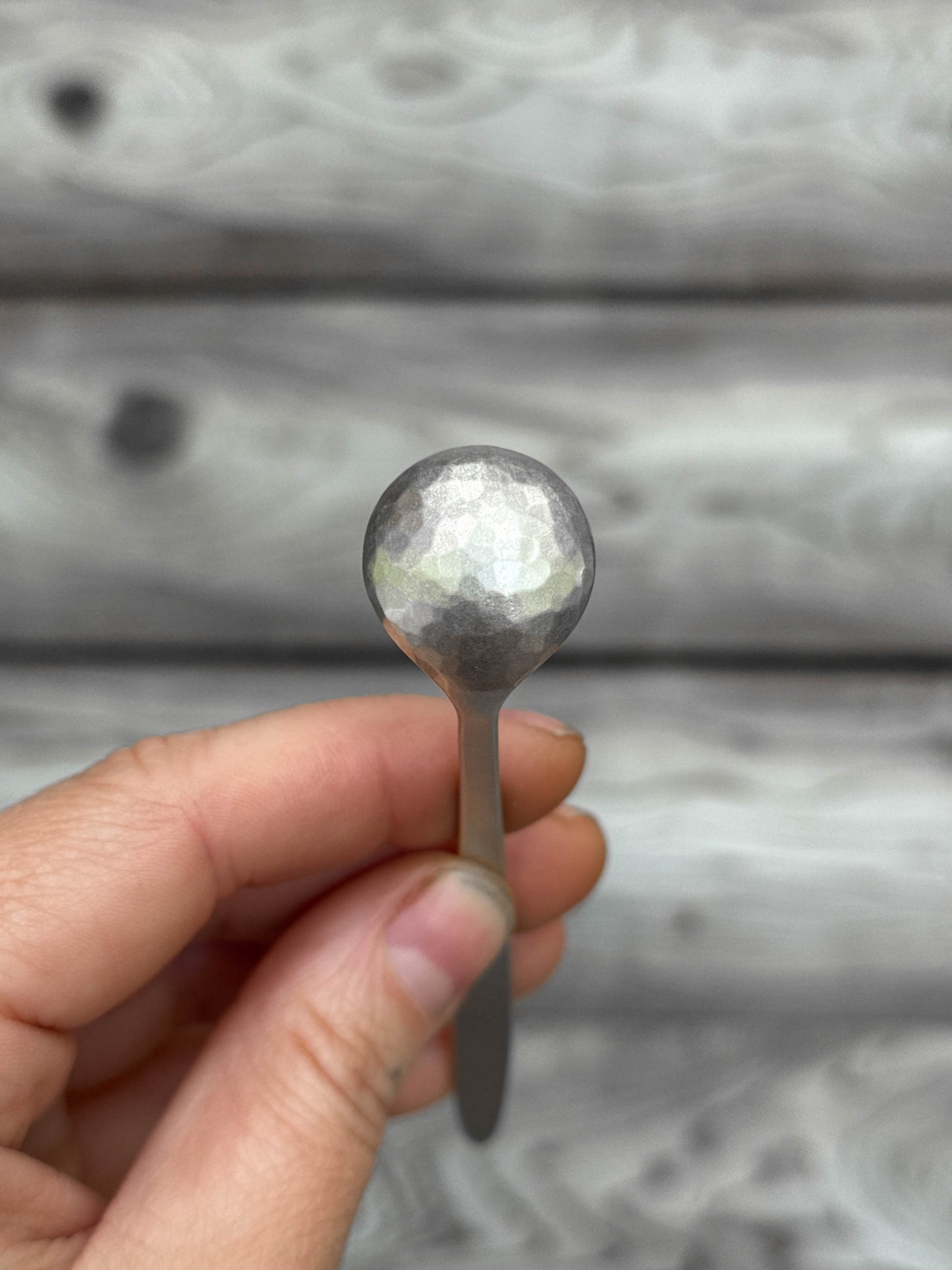 Silver Salt Spoon